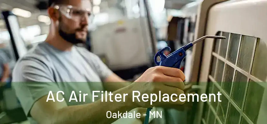  AC Air Filter Replacement Oakdale - MN