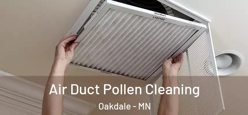  Air Duct Pollen Cleaning Oakdale - MN