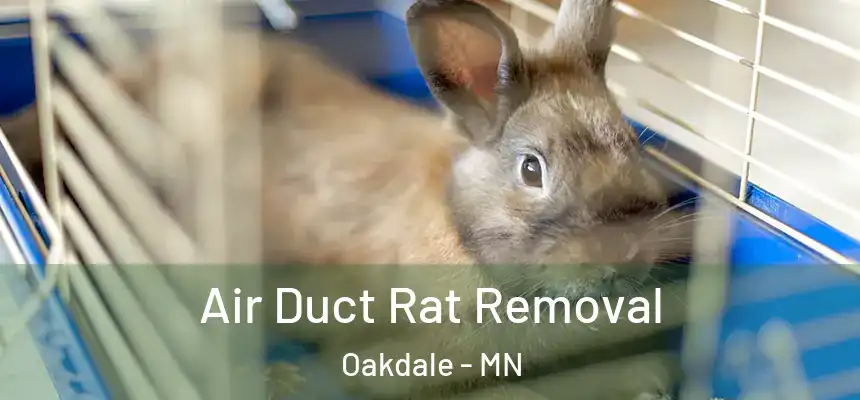  Air Duct Rat Removal Oakdale - MN