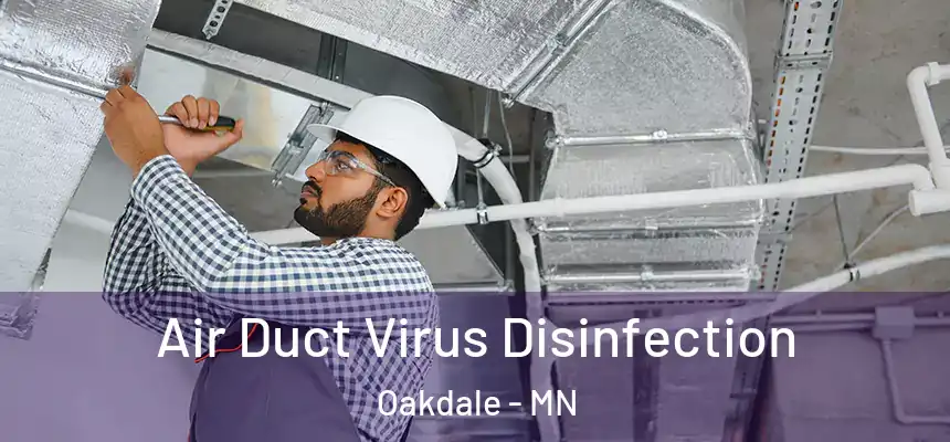  Air Duct Virus Disinfection Oakdale - MN