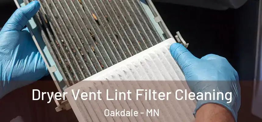  Dryer Vent Lint Filter Cleaning Oakdale - MN
