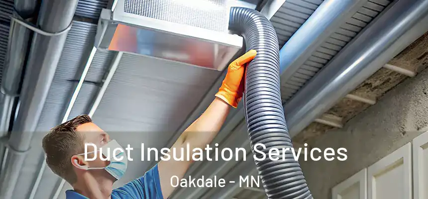  Duct Insulation Services Oakdale - MN