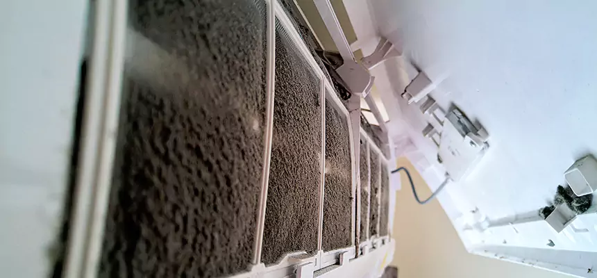 Preventive Air Duct Bacteria Removal in Oakdale