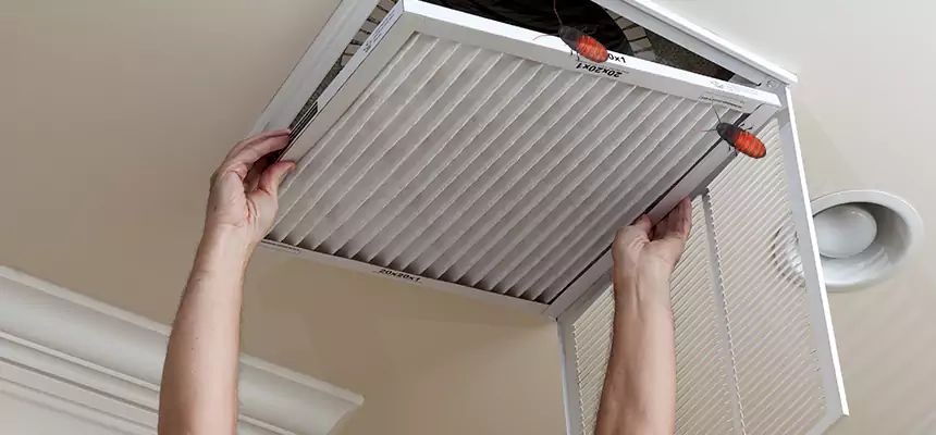 Preventive Cockroach-Proofing for Ducts in Oakdale
