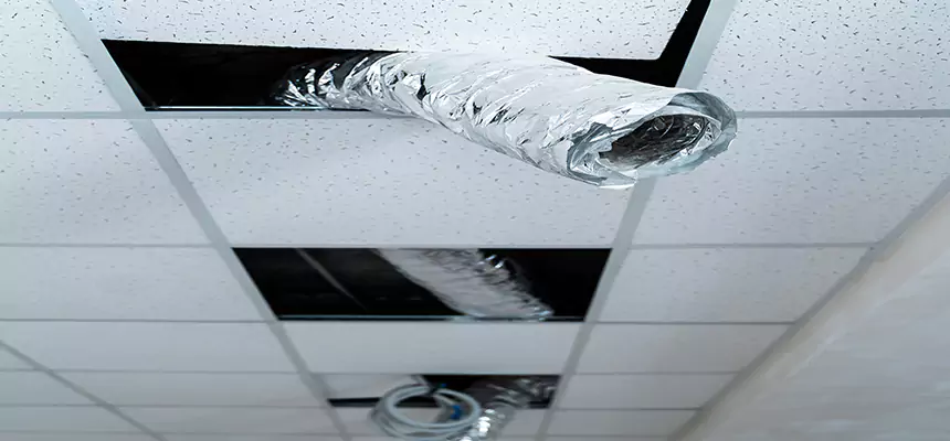 Our Air Duct Pet Hair Removal Services in Oakdale, MN