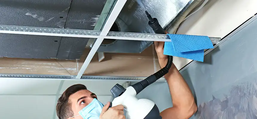 Our Air Duct Rodent Removal Services in Oakdale, MN
