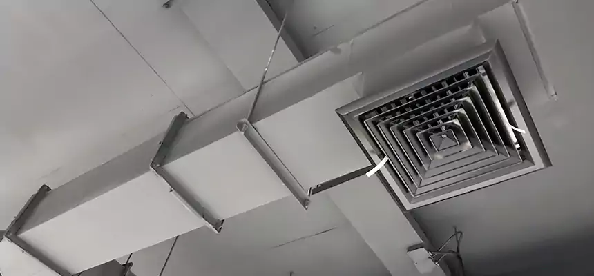 Our Rodent Droppings In Vents Services in Oakdale, MN