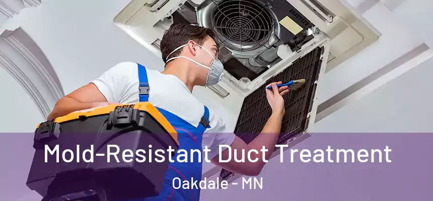  Mold-Resistant Duct Treatment Oakdale - MN