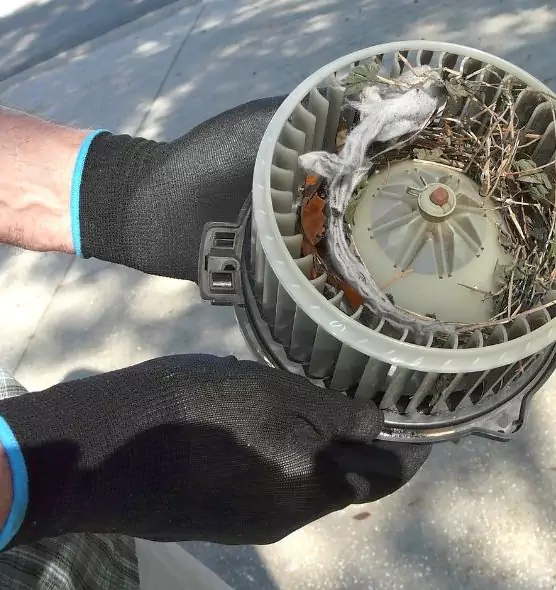 About Air Duct Rat Removal in Oakdale, MN