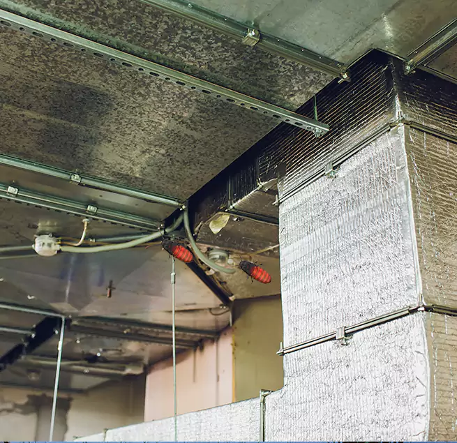 Why Homeowners & Businesses Trust Us in Oakdale, MN?