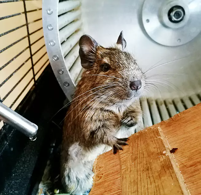 Why Homeowners & Businesses Trust Us Oakdale, MN